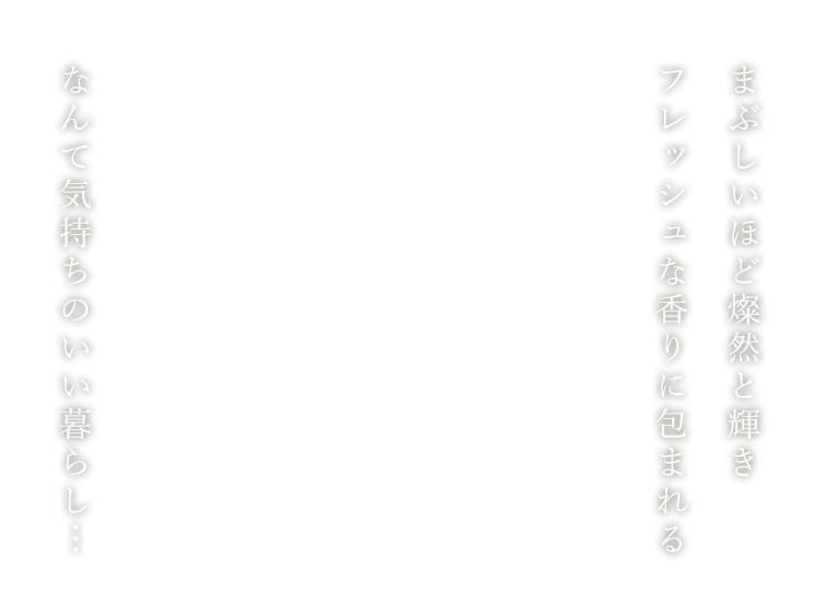 まぶしいほど燦然と輝き